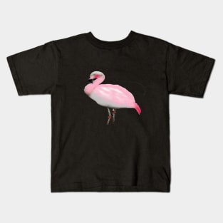 flamingo Kids T-Shirt